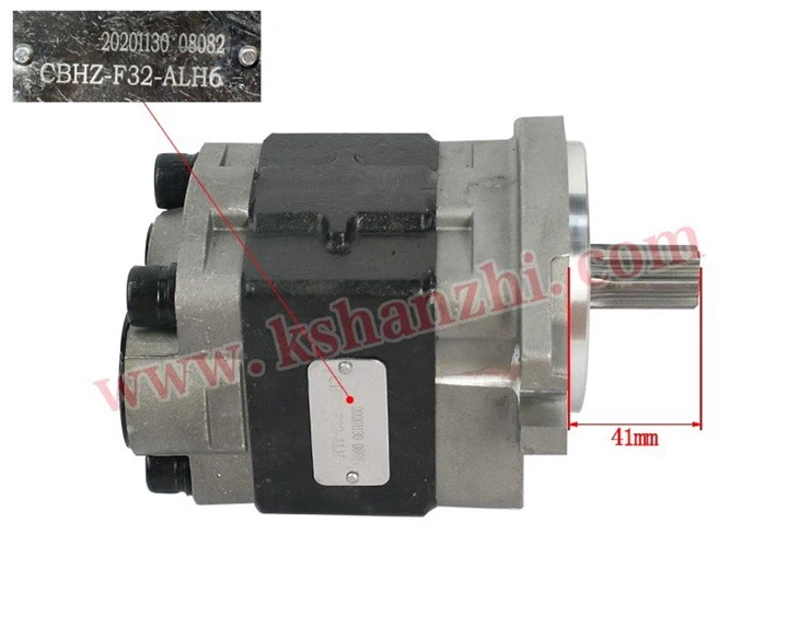 Forklift Parts R966-601100-000 Hydraulic Pump For CPQD30-35-RW7/WF491 factory