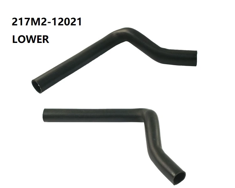 217M2-12021-D1
